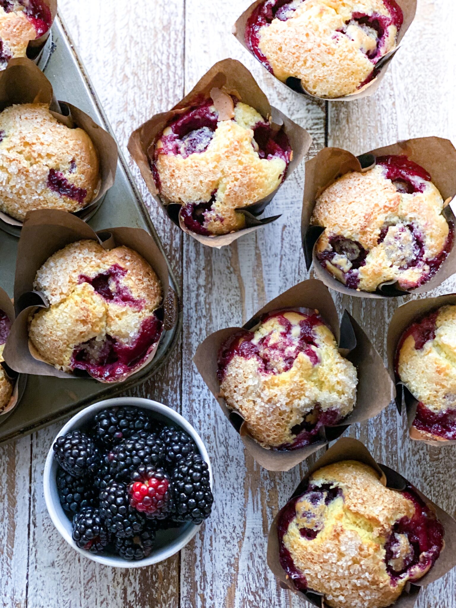 blackberry muffins and a bowl of blackberries