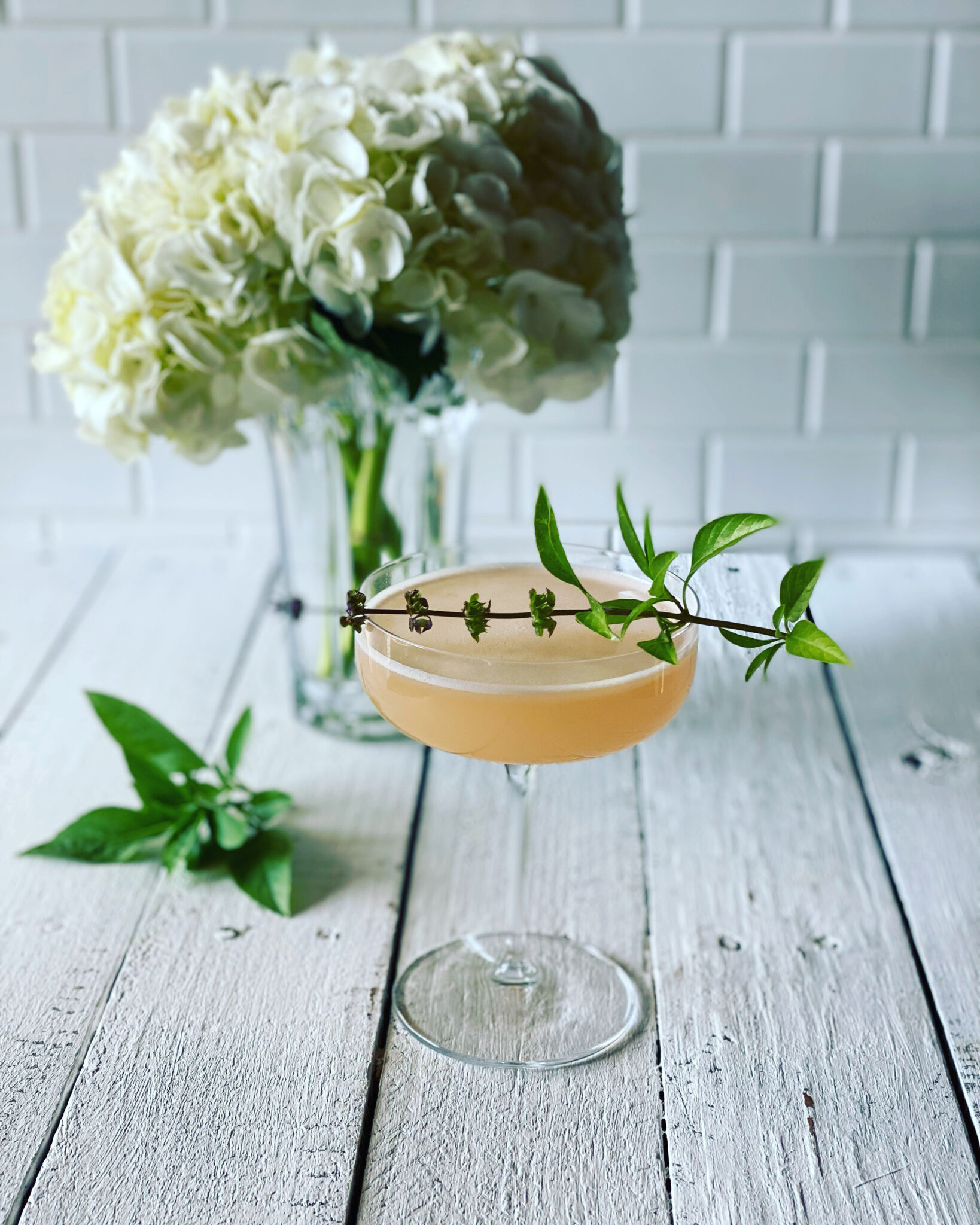 grapefruit martini with Thai basil and hydrangea blower in background