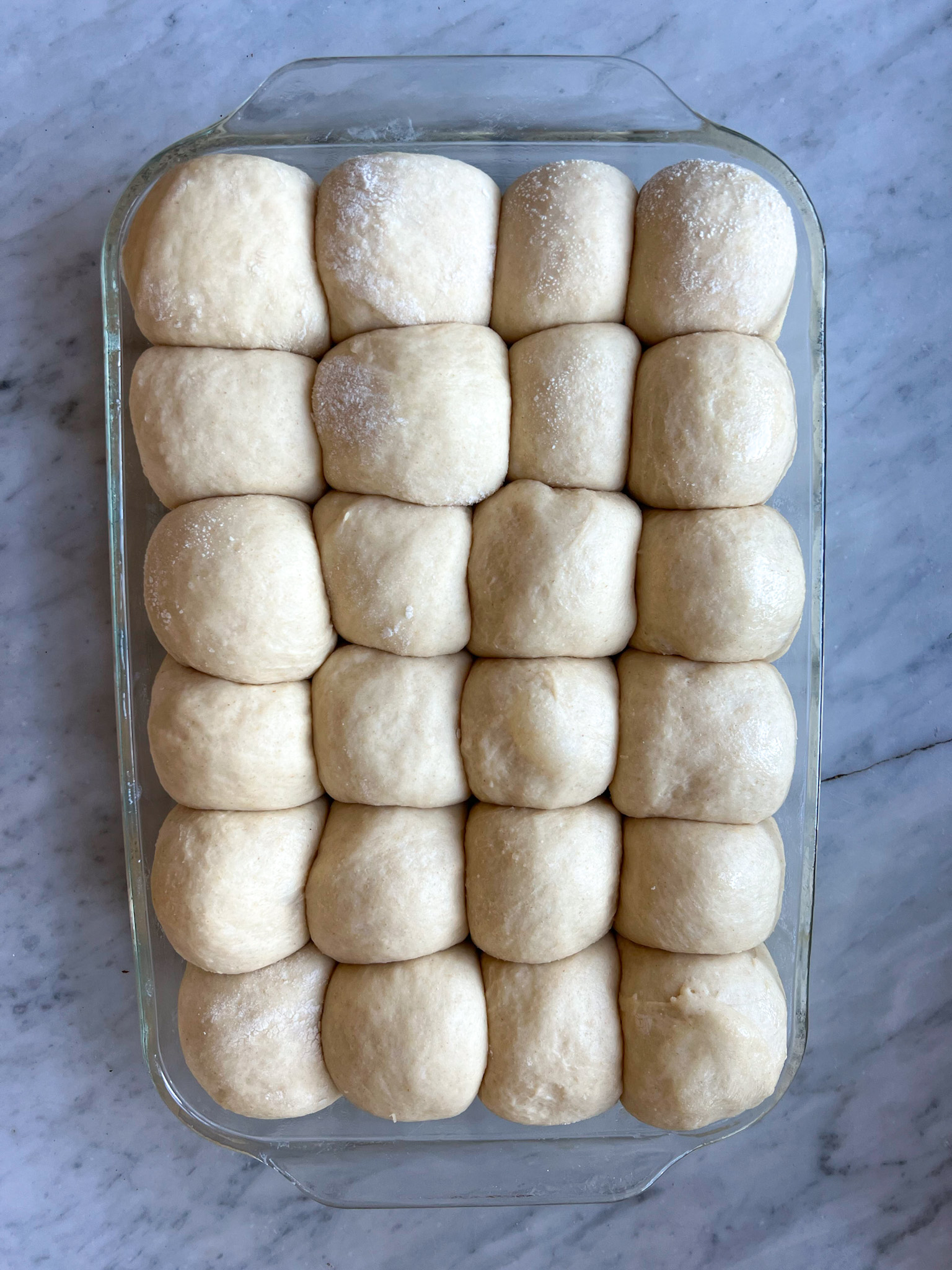 yeast bread rolls that have proved and ready to bake