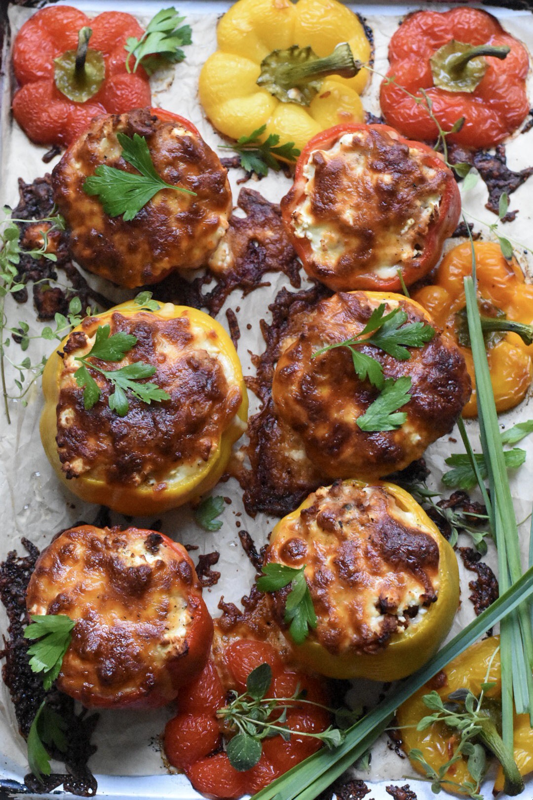 6 stuffed peppers with melty and browned cheese on top