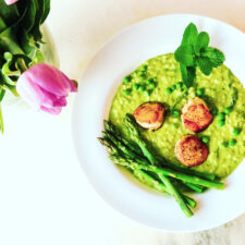 pea risotto on a plate with scallops and asparagus
