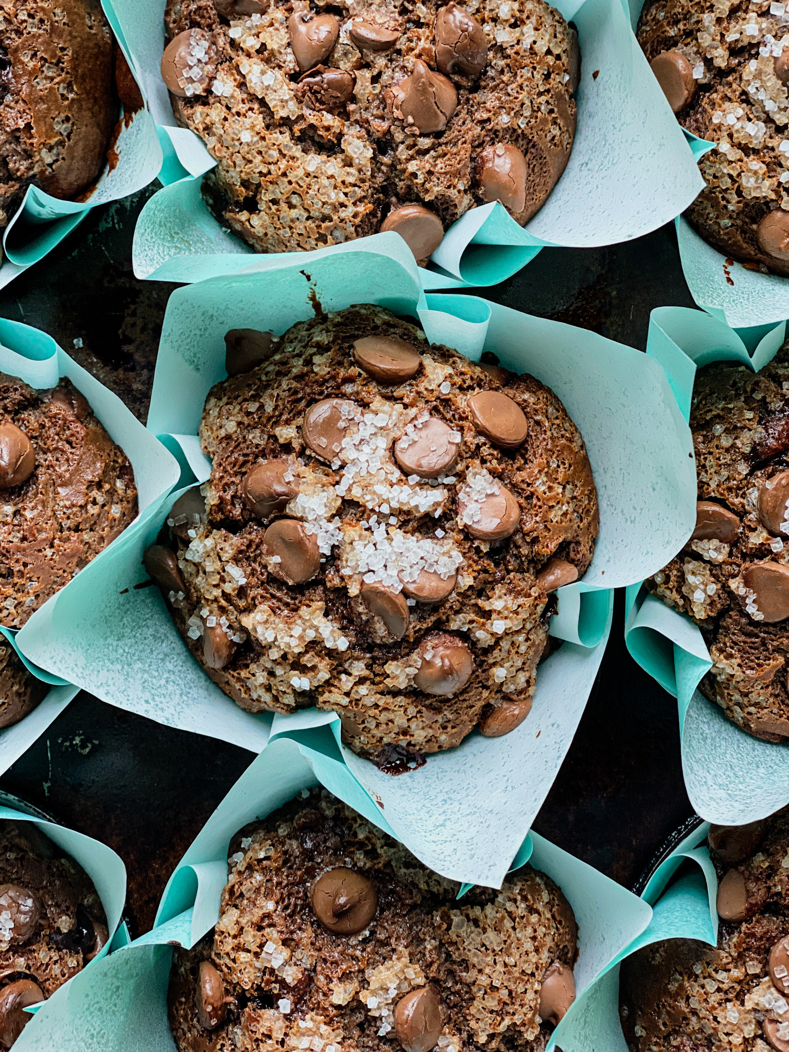 chocolate muffins in blue wrappers