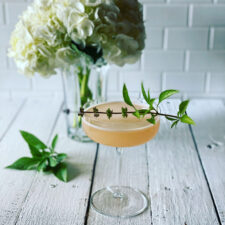 grapefruit martini with Thai basil and hydrangea blower in background
